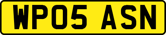 WP05ASN