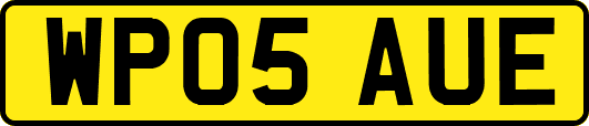 WP05AUE