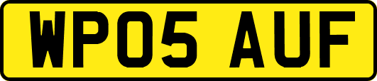 WP05AUF