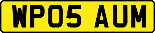 WP05AUM