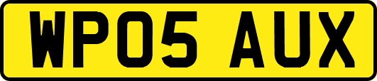 WP05AUX