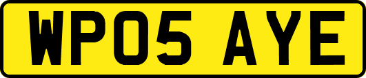 WP05AYE