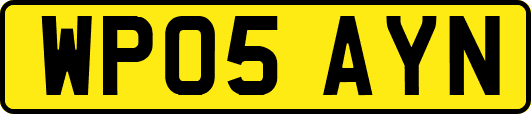 WP05AYN