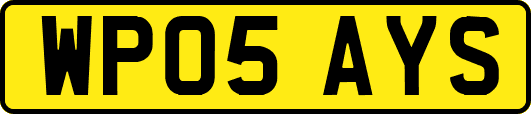 WP05AYS