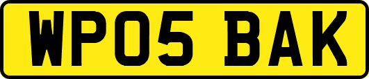 WP05BAK