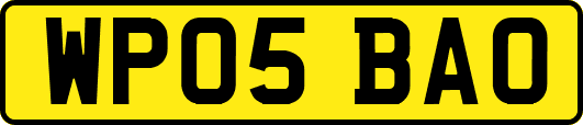 WP05BAO