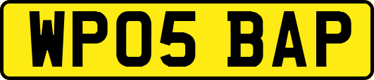 WP05BAP