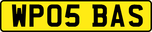 WP05BAS