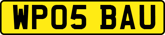 WP05BAU