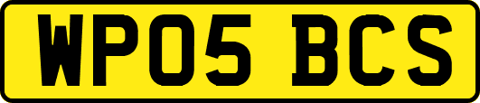WP05BCS
