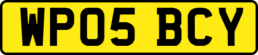 WP05BCY