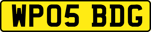 WP05BDG