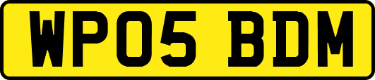WP05BDM