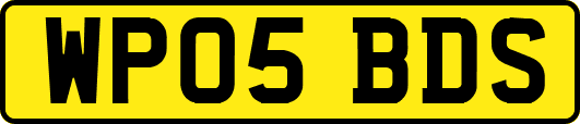 WP05BDS