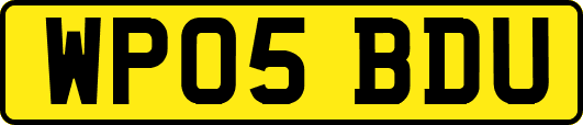 WP05BDU