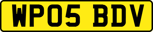 WP05BDV