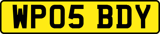 WP05BDY