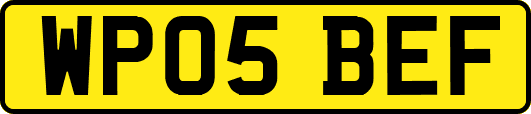 WP05BEF
