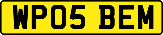 WP05BEM
