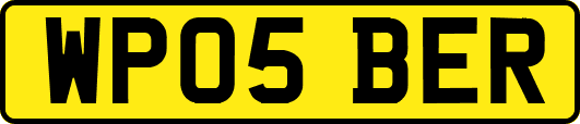 WP05BER
