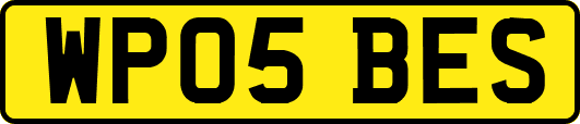 WP05BES