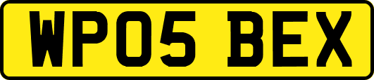 WP05BEX