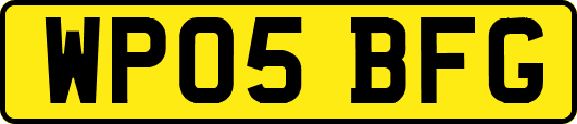 WP05BFG