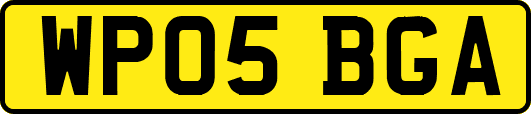 WP05BGA