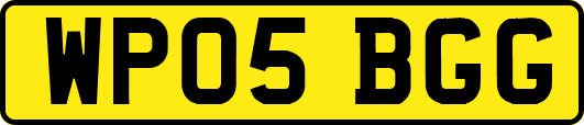WP05BGG