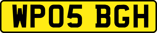 WP05BGH