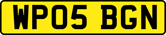 WP05BGN