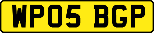 WP05BGP