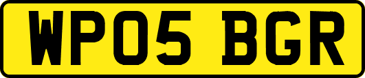 WP05BGR
