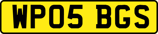 WP05BGS