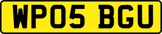 WP05BGU