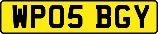 WP05BGY