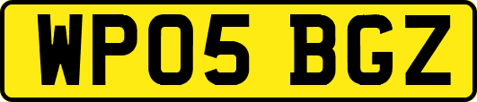 WP05BGZ