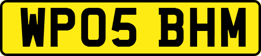 WP05BHM