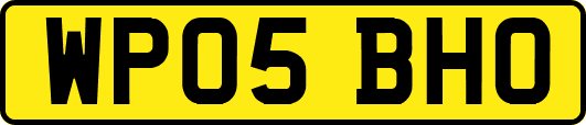 WP05BHO