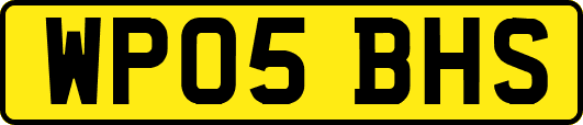 WP05BHS