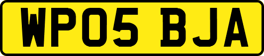 WP05BJA