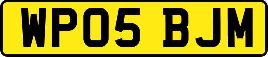 WP05BJM