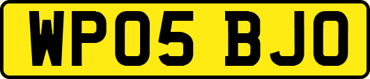 WP05BJO