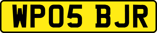 WP05BJR