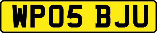 WP05BJU