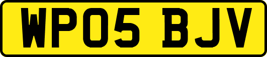 WP05BJV