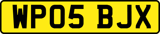 WP05BJX