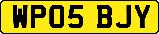 WP05BJY