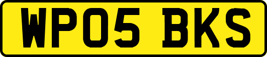 WP05BKS