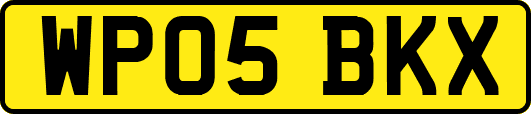 WP05BKX